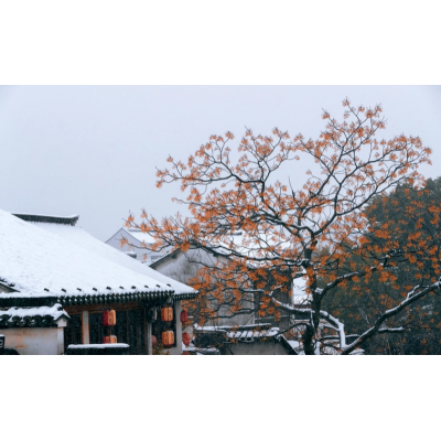 西塘2日1晚自由行图4