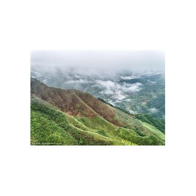古田山自然保护区图3