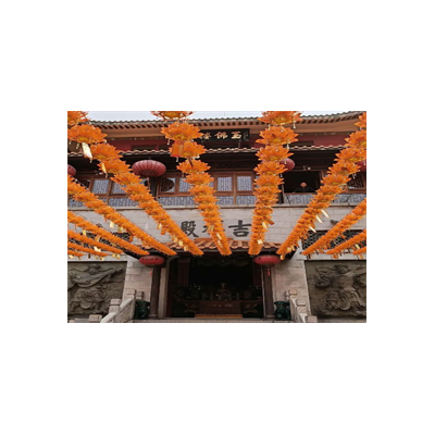 益阳栖霞寺图3