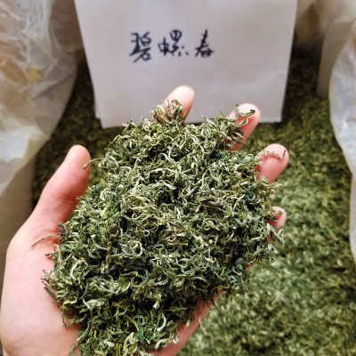 2023新茶明前碧螺春茶 炒青绿茶叶批发货源厂家散装一件代发500g 2斤起批图2