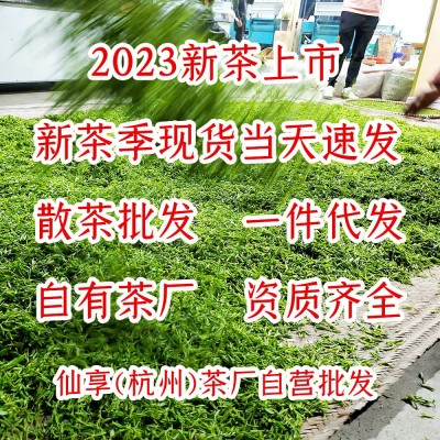 豆香型龙井茶2023新茶上市浓郁耐泡醇厚浙江龙井43号群体种绿茶茶 2斤起批图4