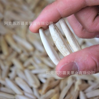 原味白马牙瓜子 新疆阿克苏瓜子散装手炒葵花子批发厂家供应 2袋起批图2