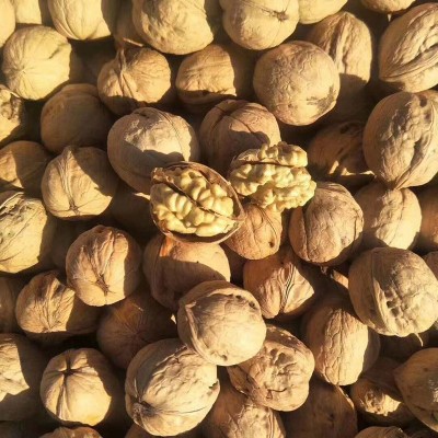 阿克苏185烤核桃 新疆特产坚果孕妇休闲零食薄壳盐烤多味纸皮核桃 2袋起批图3
