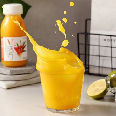 棘芝堂沙棘果汁饮料网红VC饮品生榨含40%原浆批发礼盒装10瓶/箱 1提起批图4