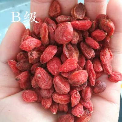 新货新疆特产包邮头茬红枸杞精河清香赛宁夏枸杞500g批发 2袋起批图5