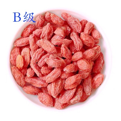新货新疆特产包邮头茬红枸杞精河清香赛宁夏枸杞500g批发 2袋起批图4