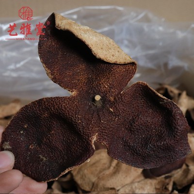 艺雅堂十年十五年新会陈皮10年陈皮茶15年大红皮泡水特产老陈皮干图2