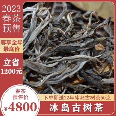 2023年云南普洱生茶春茶预售冰岛古树茶500克生普洱茶批发2件起批图2
