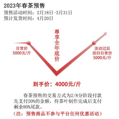2023年云南普洱生茶春茶预售老班章古树茶500克生普洱茶批发2件起批图2