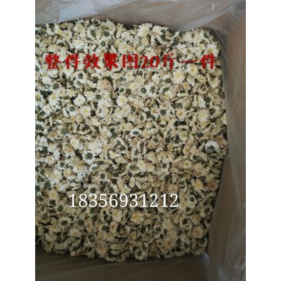 白菊花500克批发黄山贡菊散装七月菊花草茶安徽新花上市厂家直销2件起批图4