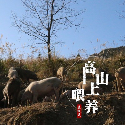 美缀美土猪老腊肉250g重庆四川烟熏川味特产自制柴火腊味腊货批发 2袋起批图2