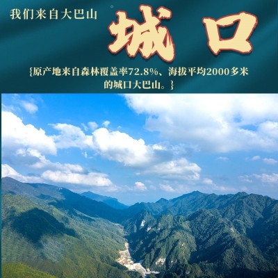 巴渝印象城口川味香肠250g重庆四川特产烟熏正宗腊肠 2袋起批图3