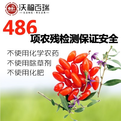 沃福百瑞宁夏中宁枸杞免洗干嚼罐装无农残苟杞子210g工厂直供货源图5