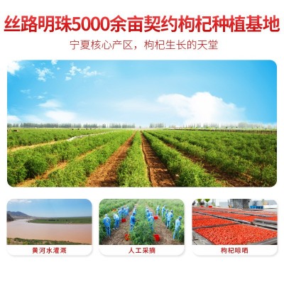 头茬新货红枸杞批发枸杞子宁夏特产250克袋装包装大颗粒泡茶2件起批图4