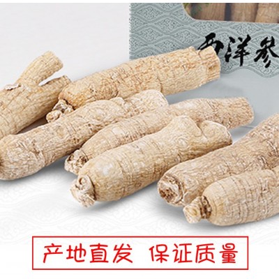 长白山有机光支西洋参 生晒白参 东北吉林人参段光支 特产100g起批图2