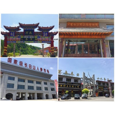 长白山干人参500g人参 原皮白参7年大支生晒参产地直发地摊人参2斤起批图3