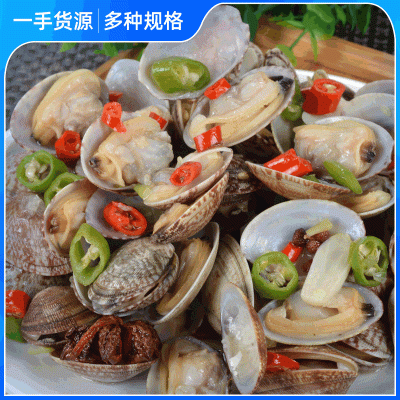 供应连云港本地蛤蜊 鲜活花甲红岛大花蛤干净无沙花贝类  10斤起批图2