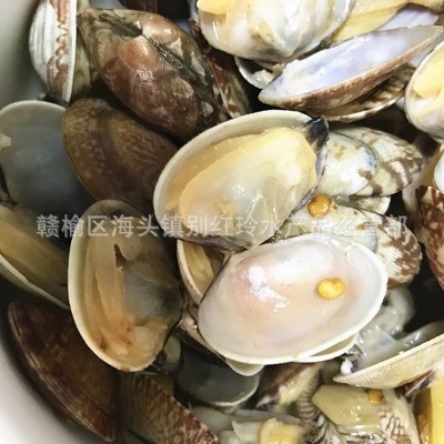 无沙花甲鲜活花甲冰甲连云港蛤蜊花蛤批发酒店食材海鲜水产批发  10斤起批图2