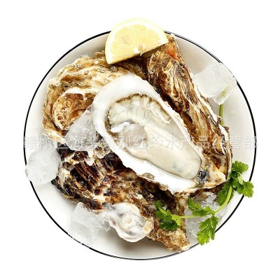 乳山大牡蛎鲜活生蚝新鲜海蛎子即食牡蛎肉海鲜水产现捞现发10斤装  10斤起批图5