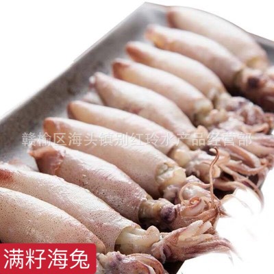 海兔新鲜海兔子满籽笔管鱼鲜活籽乌小鱿鱼乌贼八爪鱼籽墨鱼2盒起批图3
