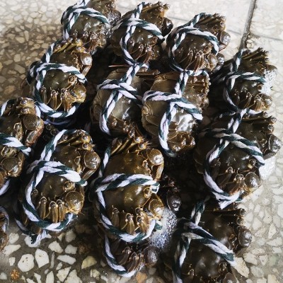 大闸蟹螃蟹现货现补六月黄兴化河蟹批发鲜活提货送礼卡供阳澄湖镇 2份起批图3