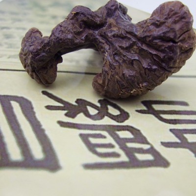供应林下灵芝半野生基地直供 长白山灵芝批发产地原品赤芝 5斤起批图3