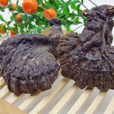 供应林下灵芝半野生基地直供 长白山灵芝批发产地原品赤芝 5斤起批图2