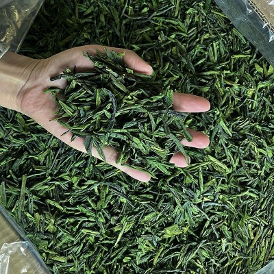2023新茶六安瓜片茶叶绿茶口粮茶散装 厂家批发500克2斤起批图4