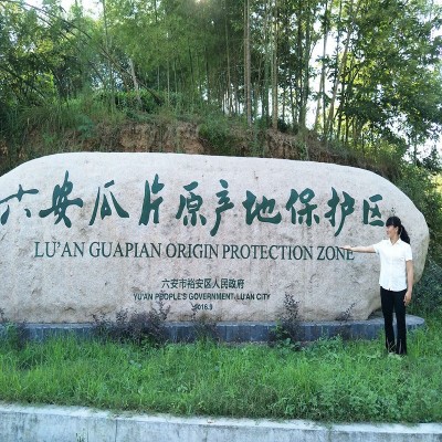 2023新茶六安瓜片散装高山茶叶绿茶叶源头厂家一件代发2斤起批图5