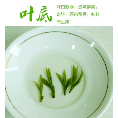 2023新茶黄山毛峰茶叶绿茶明前特一级春茶安徽高山毛尖散装250g2件起批图4