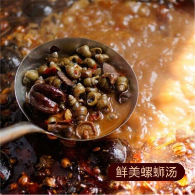 宅而有味螺蛳粉柳州袋装305g广西螺丝粉批发商用底料厂家代发螺狮 5份起批图3