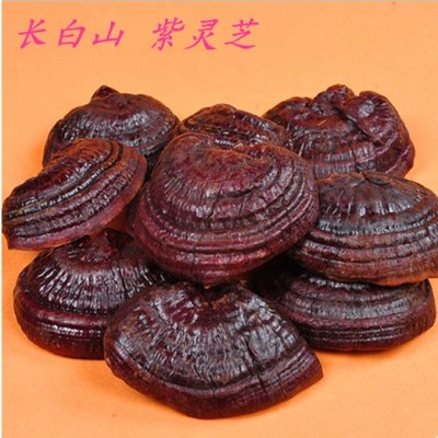 长白山紫灵芝批发500g整朵灵芝泡酒料煲汤东北灵芝一件代发灵芝片  2斤起批图4