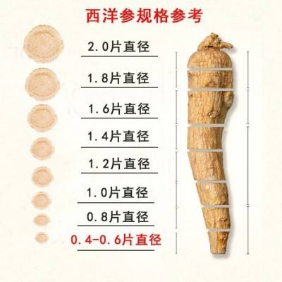长白山人参西洋参片 批发250克瓶装花旗参双筛整枝切片软枝西洋参 2瓶装起批图4