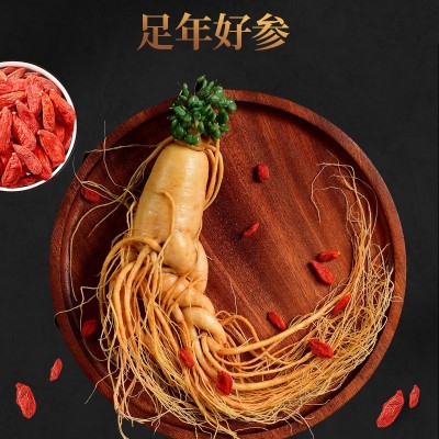 【保鲜人参】土特产批发泡酒小参 长白山鲜人参袋装多种药材厂家 2支起批图3