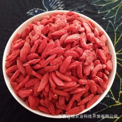 供应红枸杞散货批发零售宁夏枸杞子500克大粒 头茬特优中宁枸杞茶2件起批图2