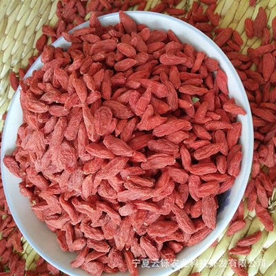 供应红枸杞散货批发零售宁夏枸杞子500克大粒 头茬特优中宁枸杞茶2件起批图3