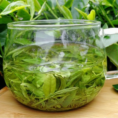 批发茶叶信阳毛尖绿茶2023新茶散装正宗雨前春茶散装手工茶叶500g2件起批图2