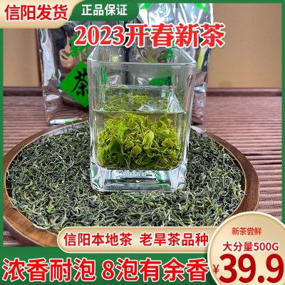 批发茶叶信阳毛尖2023新茶雨前春茶浓香耐泡炒青大叶手工绿茶500g2件起批图2