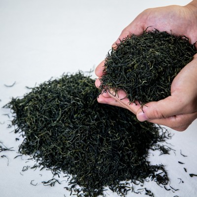 信阳毛尖 茶叶绿茶春茶 源头企业厂家直发 一件代发 加工2件起批图2