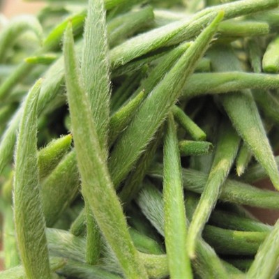 厂家直销 信阳毛尖新茶雨前早期优品绿茶散装茶叶 批发2件起批图2