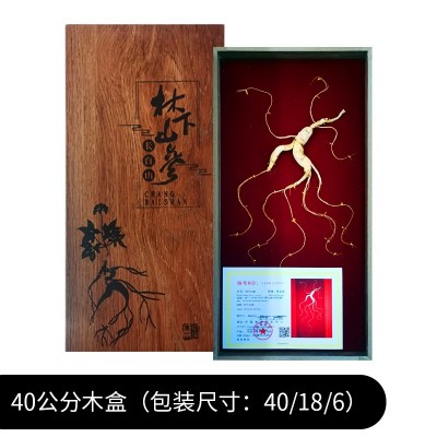 林下山参7-10年长白山野山参礼盒厂家干人参年货送礼 林下参批发 2盒起批图3