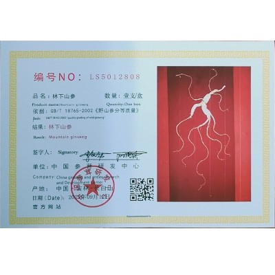 林下山参7-10年长白山野山参礼盒厂家干人参年货送礼 林下参批发 2盒起批图4