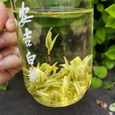 半斤250克装 正宗明前安吉白茶珍稀白茶 原产地茶厂批发 2件起售图2