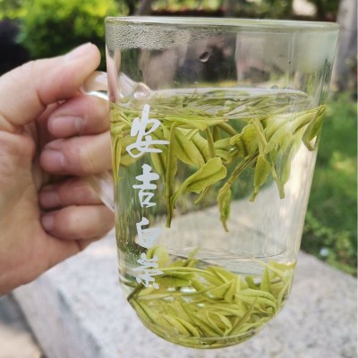 半斤250克装 正宗明前安吉白茶珍稀白茶 原产地茶厂批发 2件起售图4