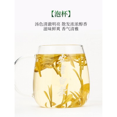 一斤10罐装黄金芽500克2022年新茶春茶绿茶叶白茶袋装盒装  2罐起售图3
