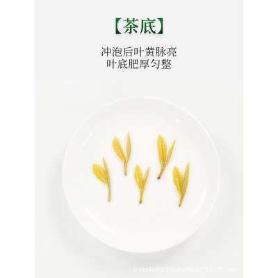 一斤10罐装黄金芽500克2022年新茶春茶绿茶叶白茶袋装盒装  2罐起售图2