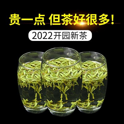 原产地2023新茶高山绿茶黄山毛峰 散装绿茶500g 一件代发云雾毛峰 2斤起售图2