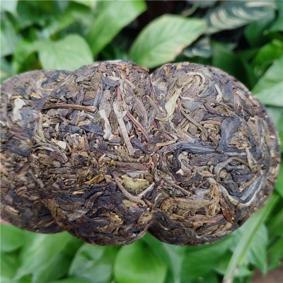 厂家大货批发1000克景迈金瓜贡茶云南普洱生茶美人头瓜茶纯料茶叶 2个起售图3