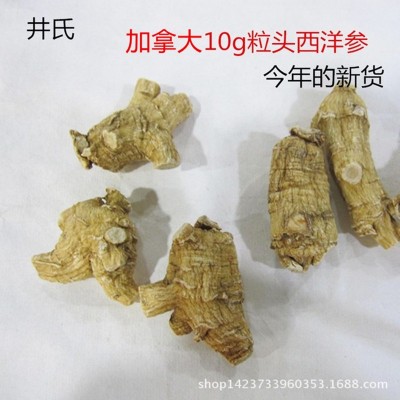 产地货源西洋参10克粒头花旗参加拿大货软支   250克起售图2