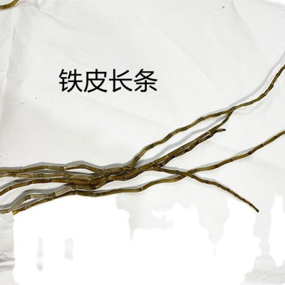 铁皮干条枫斗石斛烤条 打粉实惠价格低基地批发 10g 1000克起售图5